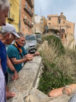 Vincenzo und Kapern &ndash; &copy; Gerold Achim Adamietz (Eberhardt TRAVEL)