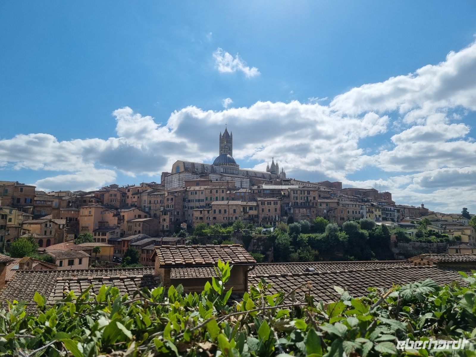 Siena &ndash; &copy; Katrin Deutschbein (Eberhardt TRAVEL)