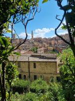 Siena &ndash; &copy; Katrin Deutschbein (Eberhardt TRAVEL)
