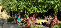 Besuch eines Zitronengartens &ndash; &copy; Ria Heilmann (Eberhardt TRAVEL)
