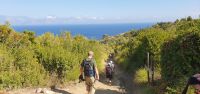 Wanderung zum Porto Infreschi &ndash; &copy; Ria Heilmann (Eberhardt TRAVEL)