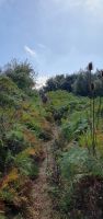 Wanderweg zum Monte Stella &ndash; &copy; Ria Heilmann (Eberhardt TRAVEL)