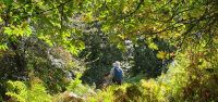 Wanderung zum Monte Stella &ndash; &copy; Ria Heilmann (Eberhardt TRAVEL)
