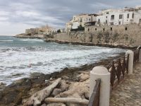 IMG 2529, Vieste vom Hafen aus &ndash; &copy; Claudia Hartwich (Eberhardt TRAVEL)