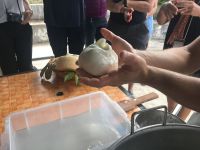 IMG 0225, und jetzt kommt die Burrata &ndash; &copy; Claudia Hartwich (Eberhardt TRAVEL)