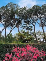 Rom Palatin &ndash; &copy; Heike Jack (Eberhardt TRAVEL)