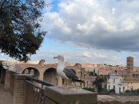 Rom Palatin &ndash; &copy; Heike Jack (Eberhardt TRAVEL)