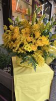 Traditionell Mimosen zum Frauentag &ndash; &copy; Marlies Thrum (Eberhardt TRAVEL)