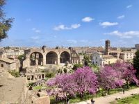 Forum Romanum &ndash; &copy; Mathias Schirmer (Eberhardt TRAVEL)