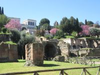 Forum Romanun &ndash; &copy; Heike Heinen (Eberhardt TRAVEL)