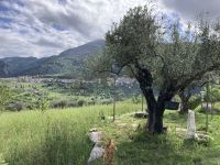 Cilento