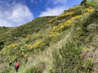Cilento  &ndash; &copy; Roswitha Zytowski (Eberhardt TRAVEL)