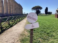 Paestum &ndash; &copy; Roswitha Zytowski (Eberhardt TRAVEL)