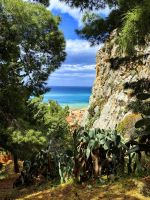 Wir erklimmen den Hausberg von Cefalu &ndash; &copy; Simone Willner (Eberhardt TRAVEL)