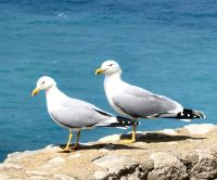 Wir werden beobachtet &ndash; &copy; Simone Willner (Eberhardt TRAVEL)