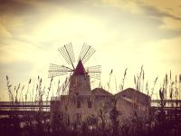 Salinen von Marsala &ndash; &copy; Simone Willner (Eberhardt TRAVEL)
