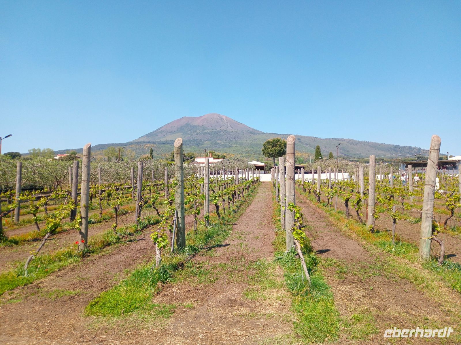 Cantina del Vesuvio &ndash; &copy; Monika Cortese (Eberhardt TRAVEL)