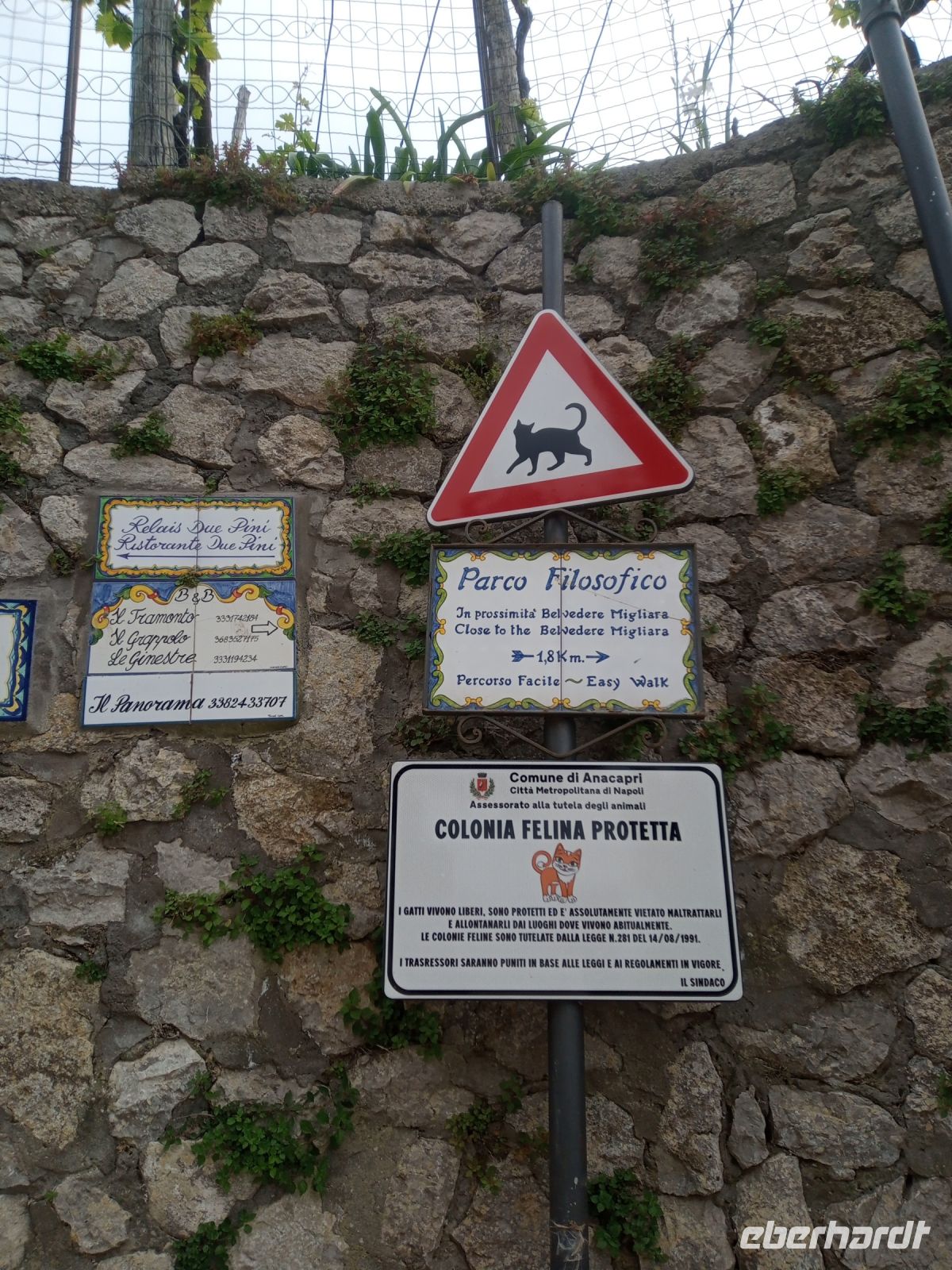 Verkehrschilder für Katzen :-) &ndash; &copy; Monika Cortese (Eberhardt TRAVEL)