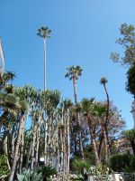 Parco Villa Communale  &ndash; &copy; Monika Cortese (Eberhardt TRAVEL)