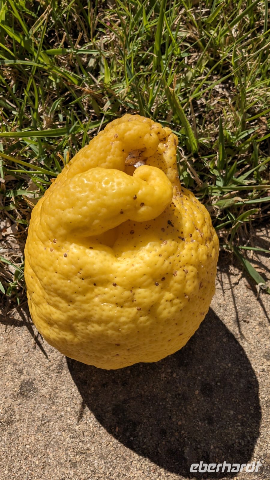 &copy; Michael Rass (Eberhardt TRAVEL)