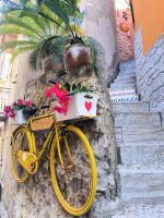 Scilla in Kalabrien &ndash; &copy; Heike Jack (Eberhardt TRAVEL)