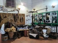 Zungri. Museum