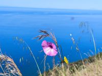 Capo Vaticano &ndash; &copy; Heike Jack (Eberhardt TRAVEL)