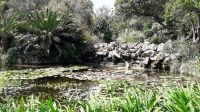 Wunderschöne Teiche im Botanischen Garten &ndash; &copy; Julia Kies (Eberhardt TRAVEL)