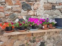 Levanto &ndash; &copy; Betina Marinov (Eberhardt TRAVEL)