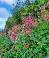 Impressionen &ndash; &copy; Betina Marinov (Eberhardt TRAVEL)