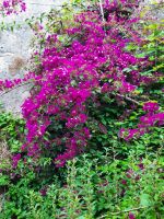 Impessionen &ndash; &copy; Betina Marinov (Eberhardt TRAVEL)