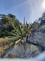 Impressionen &ndash; &copy; Betina Marinov (Eberhardt TRAVEL)