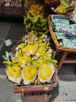 Vernazza &ndash; &copy; Betina Marinov (Eberhardt TRAVEL)