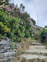 Weg nach Corniglia &ndash; &copy; Betina Marinov (Eberhardt TRAVEL)