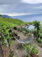 Weinanbau &ndash; &copy; Betina Marinov (Eberhardt TRAVEL)