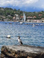 Portovenere &ndash; &copy; Betina Marinov (Eberhardt TRAVEL)