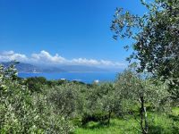 Bucht von Portofino &ndash; &copy; Betina Marinov (Eberhardt TRAVEL)