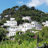 Wohnen im Grünen &ndash; &copy; Wolfgang Eckert (Eberhardt TRAVEL)