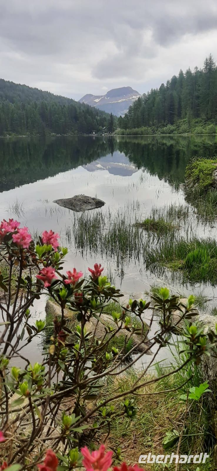 noch ein paar Blümchen zum Abschied &ndash; &copy; Claudia Hartwich (Eberhardt TRAVEL)