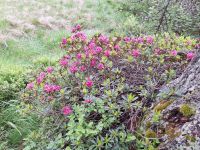 welch eine Pracht &ndash; &copy; Claudia Hartwich (Eberhardt TRAVEL)