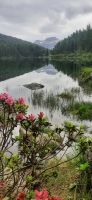 noch ein paar Blümchen zum Abschied &ndash; &copy; Claudia Hartwich (Eberhardt TRAVEL)