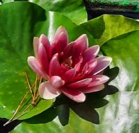 Impressionen &ndash; &copy; Betina Marinov (Eberhardt TRAVEL)