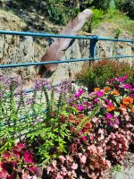 Tappeiner Weg - Impressionen &ndash; &copy; Betina Marinov (Eberhardt TRAVEL)