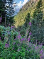 Schnalstal &ndash; &copy; Betina Marinov (Eberhardt TRAVEL)