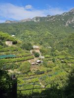 Zitronenplantagen &ndash; &copy; Mariele Koeckeritz (Eberhardt TRAVEL)