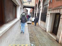 20240918_123417, Acqua alta, das berüchtigte Hochwasser, in Venedig.jpg &ndash; &copy; Claudia Hartwich (Eberhardt TRAVEL)