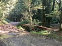 im Wald &ndash; &copy; Mathias Schirmer (Eberhardt TRAVEL)
