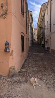 28-Stadtspaziergang in Alghero.jpg &ndash; &copy; Michael Rass (Eberhardt TRAVEL)