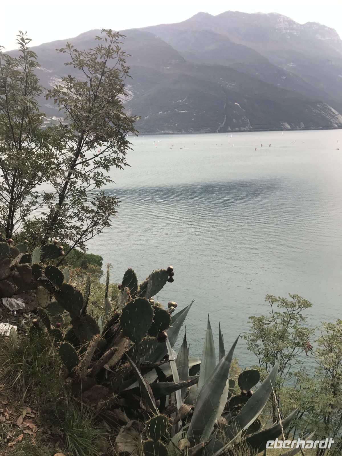 Wanderreise am Gardasee 16.10.2024  - Wanderung auf dem Monte Brione &ndash; &copy; Renate Schuster (Eberhardt TRAVEL)