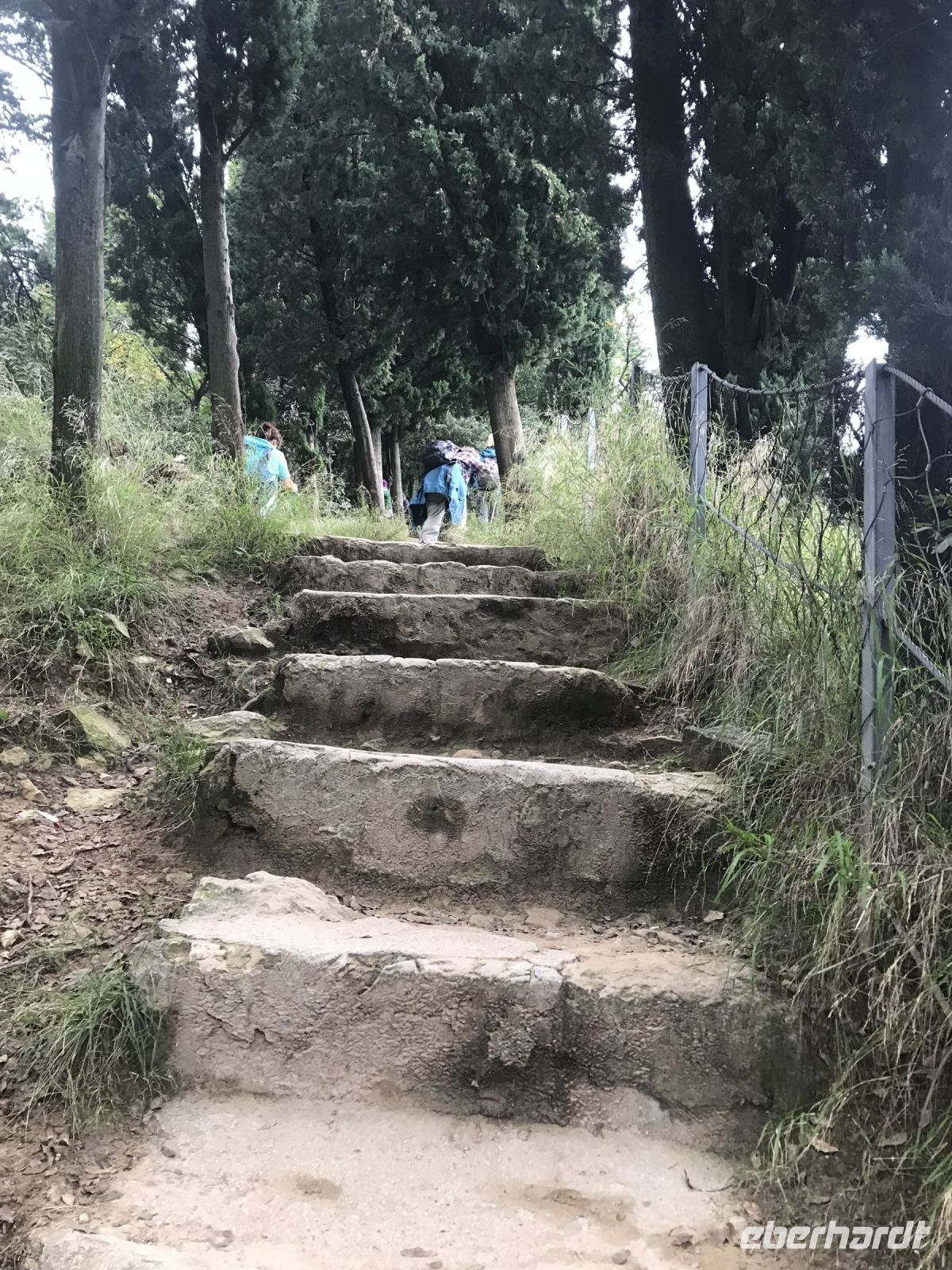 Wanderreise am Gardasee 16.10.2024  - Wanderung auf dem Monte Brione &ndash; &copy; Renate Schuster (Eberhardt TRAVEL)